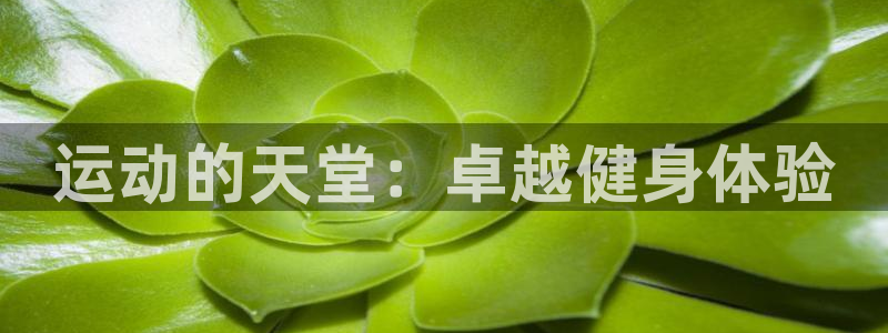 意昂4官网