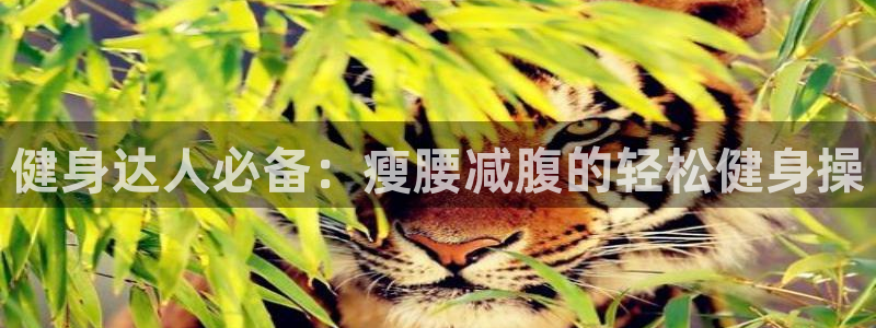 意昂4招商